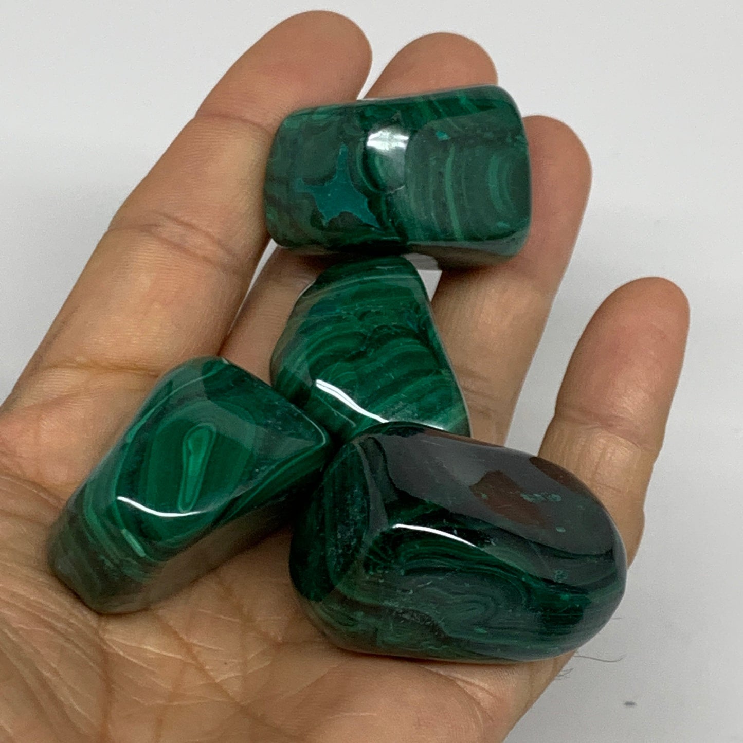 980g (2.16 lbs), 1.1"-1.6",19pcs, Natural Malachite Tumbled @Congo, B32837