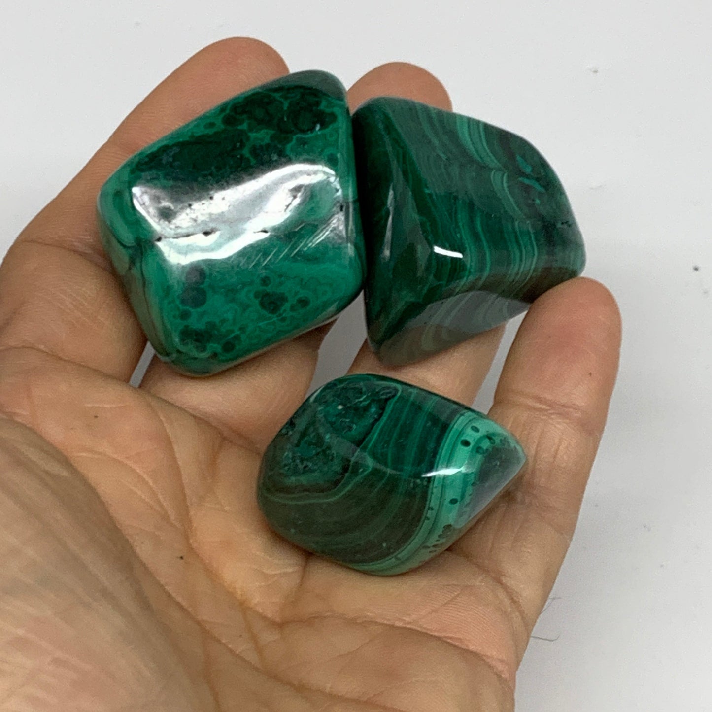 980g (2.16 lbs), 1.1"-1.6",19pcs, Natural Malachite Tumbled @Congo, B32837