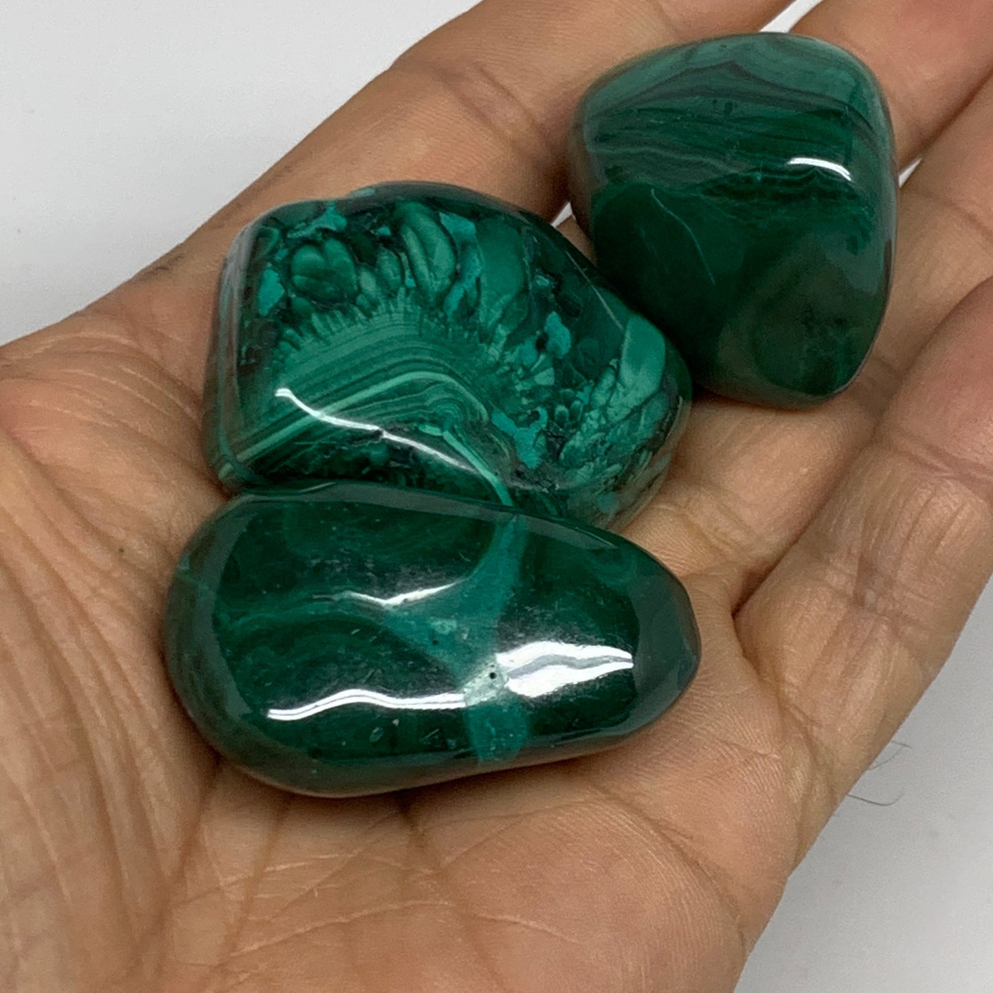 980g (2.16 lbs), 1.1"-1.6",19pcs, Natural Malachite Tumbled @Congo, B32837