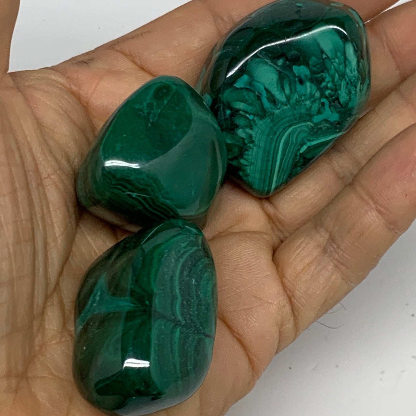 980g (2.16 lbs), 1.1"-1.6",19pcs, Natural Malachite Tumbled @Congo, B32837