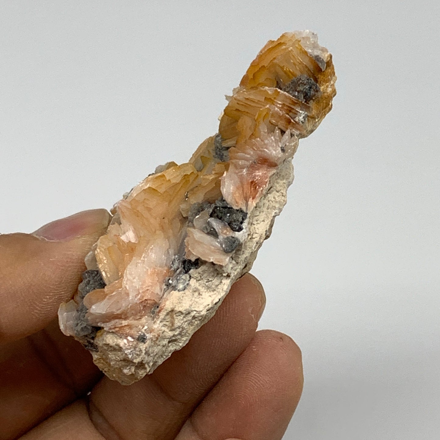 75.7g, 2.6"x1.8"x0.9", Barite with Cerussite on Galena Mineral Specimen, B33516