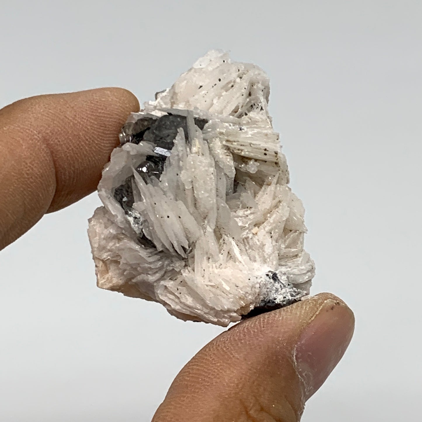 71.6g, 1.6"x1.2"x1.1", Barite With Cerussite on Galena Mineral Specimen, B33539