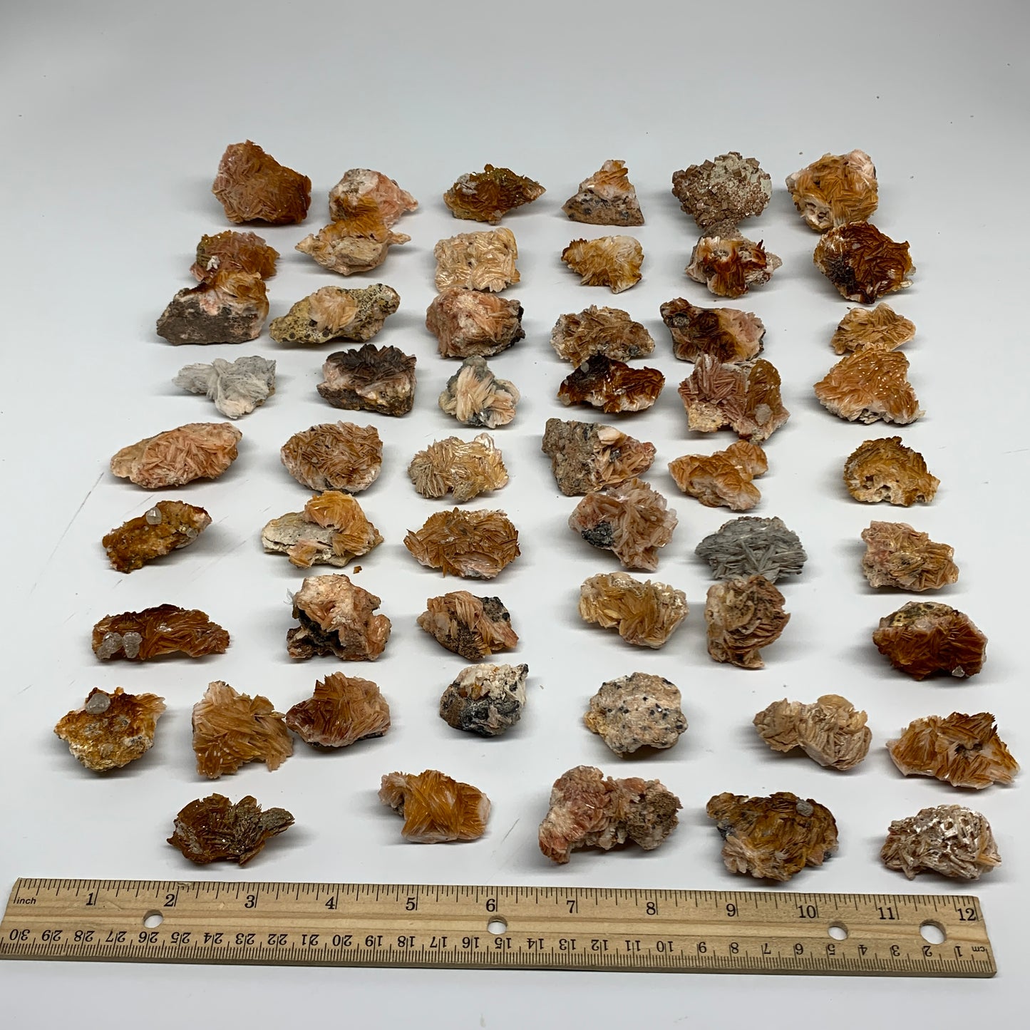 5.03 lbs, 1.4"-2.2", 54pcs, Golden Barite Mineral Specimen, Wholesale, B33567