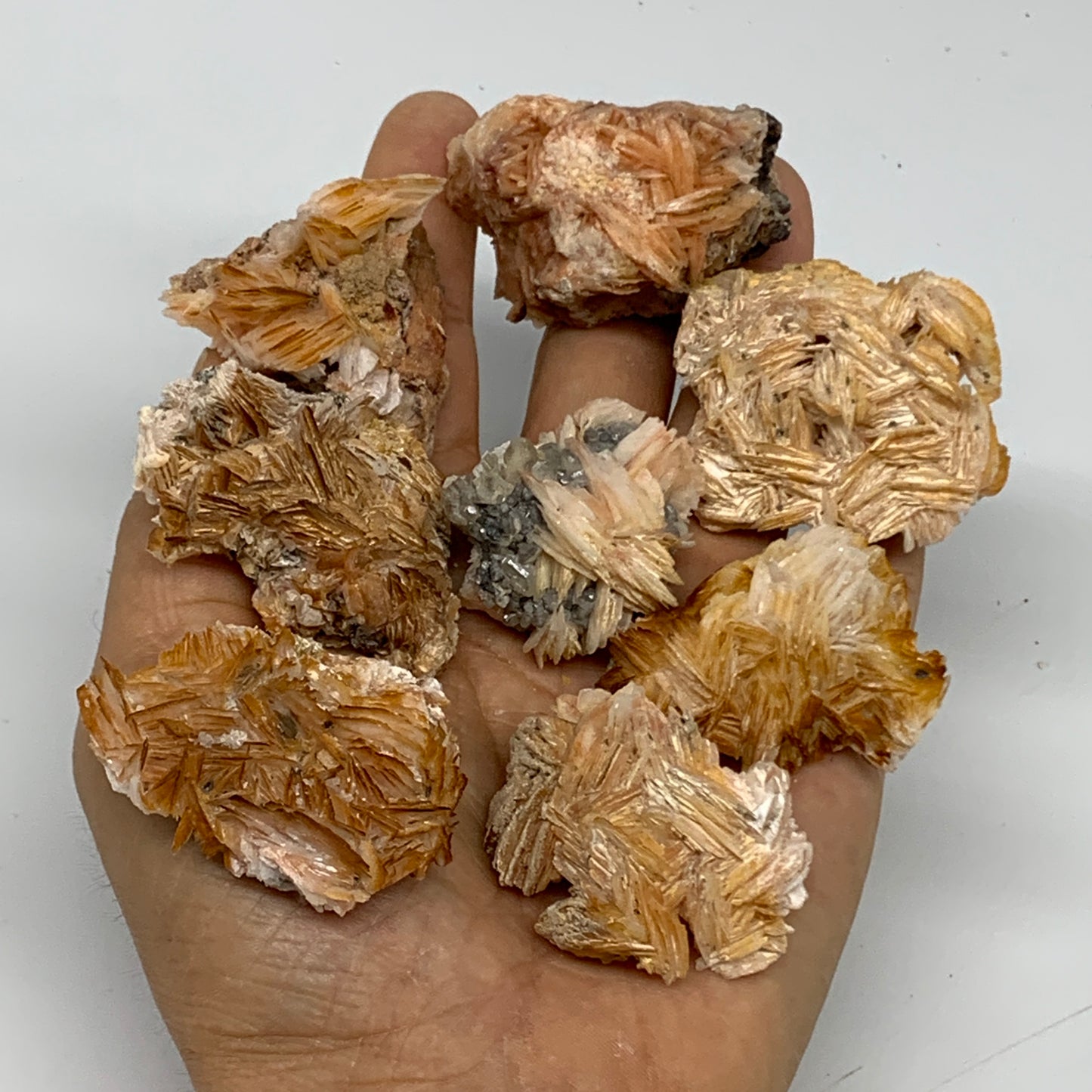 5.03 lbs, 1.4"-2.2", 54pcs, Golden Barite Mineral Specimen, Wholesale, B33567