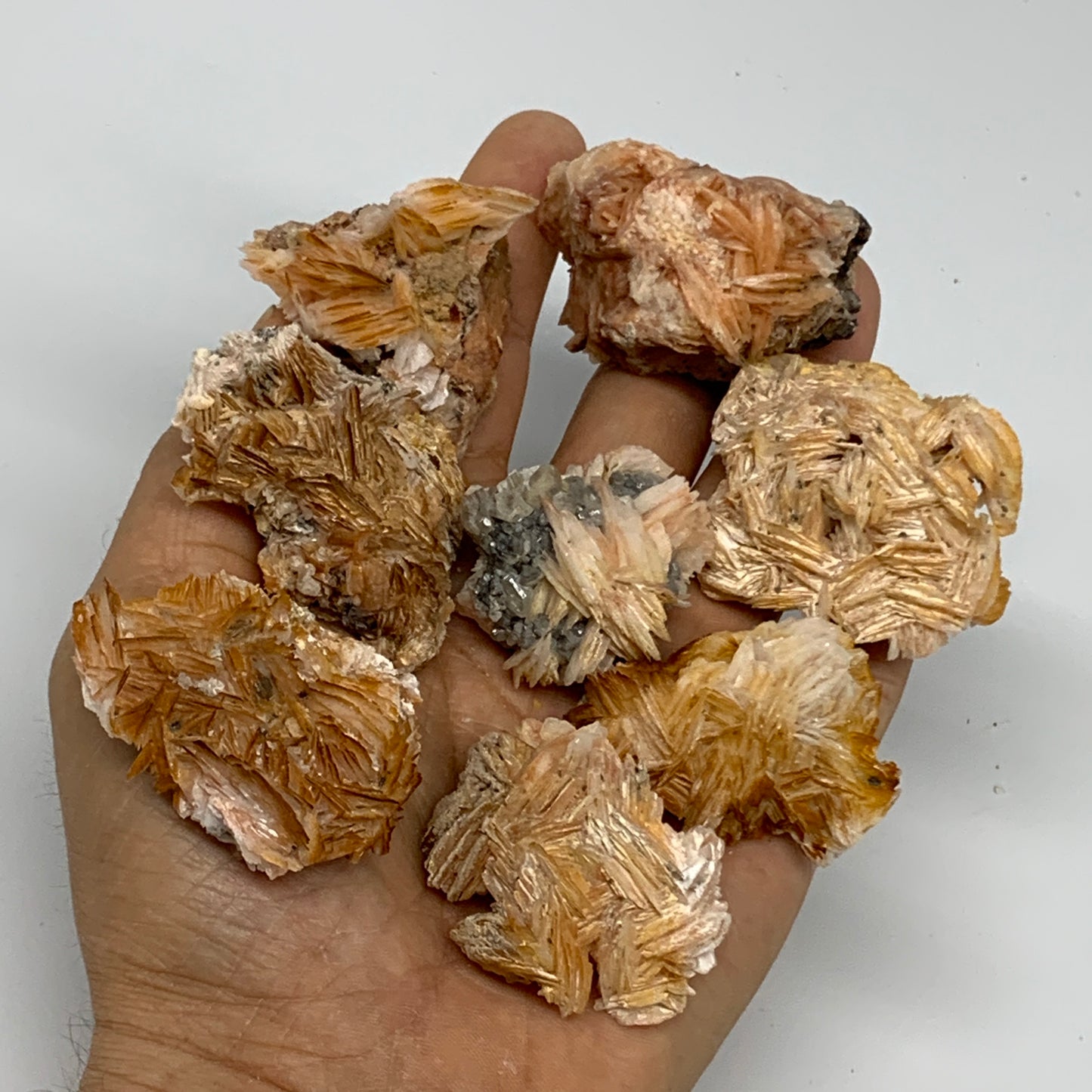 5.03 lbs, 1.4"-2.2", 54pcs, Golden Barite Mineral Specimen, Wholesale, B33567