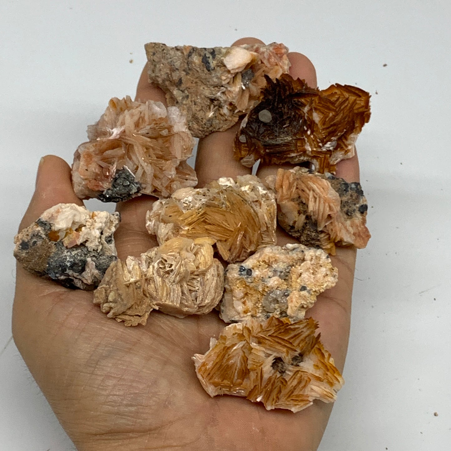 5.03 lbs, 1.4"-2.2", 54pcs, Golden Barite Mineral Specimen, Wholesale, B33567