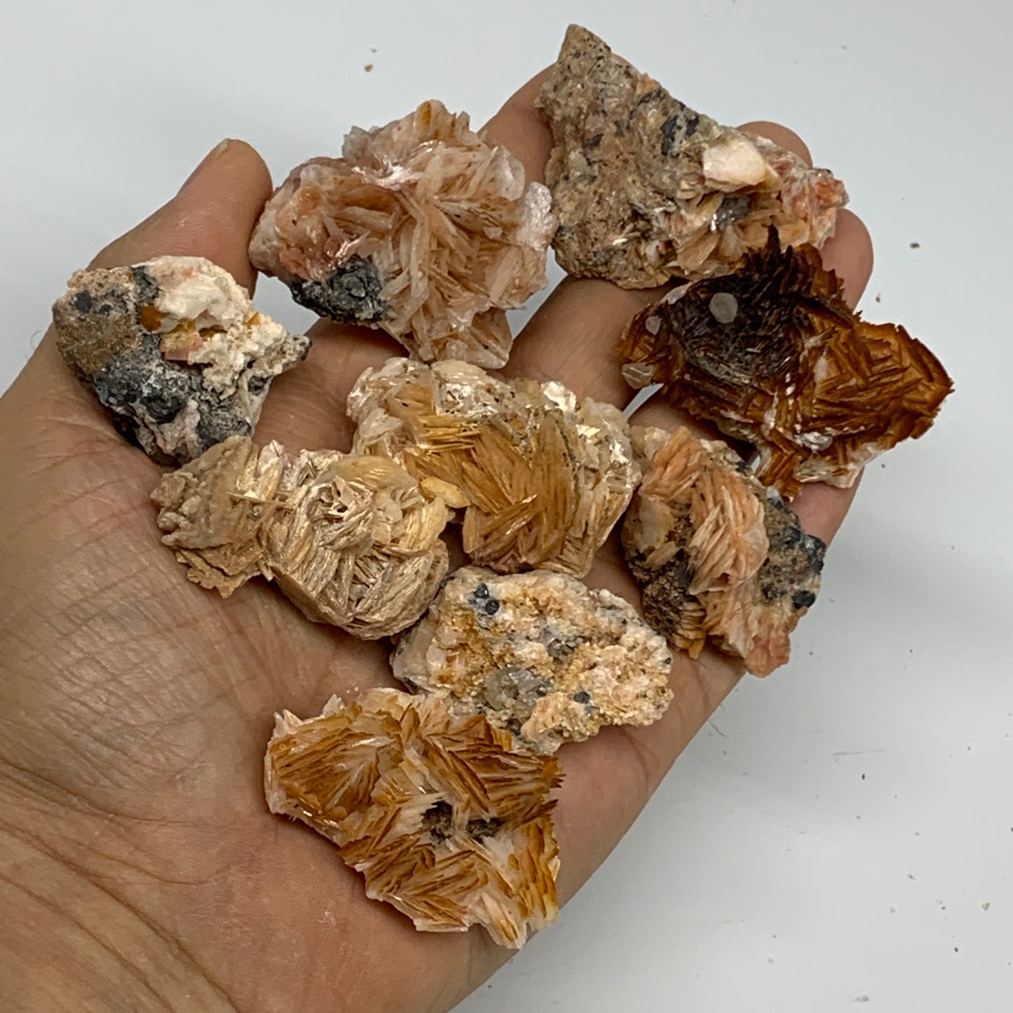 5.03 lbs, 1.4"-2.2", 54pcs, Golden Barite Mineral Specimen, Wholesale, B33567