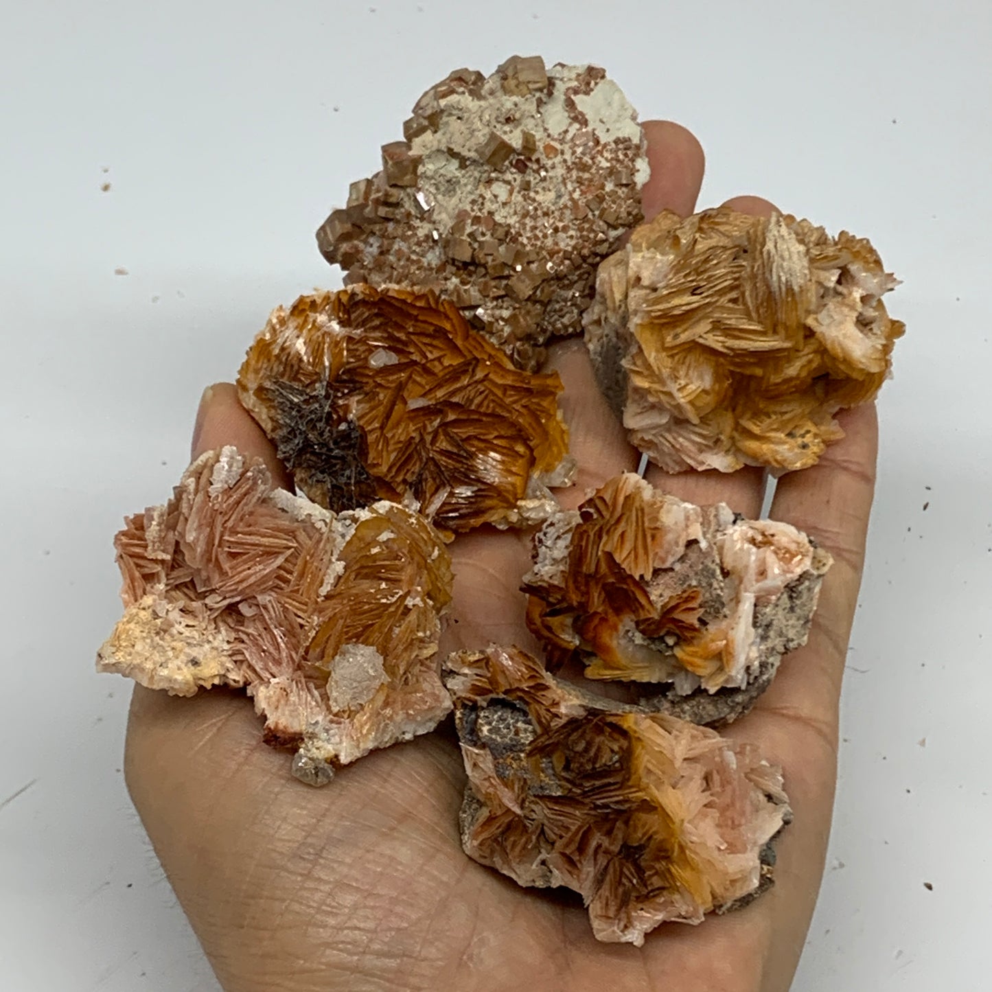 5.03 lbs, 1.4"-2.2", 54pcs, Golden Barite Mineral Specimen, Wholesale, B33567