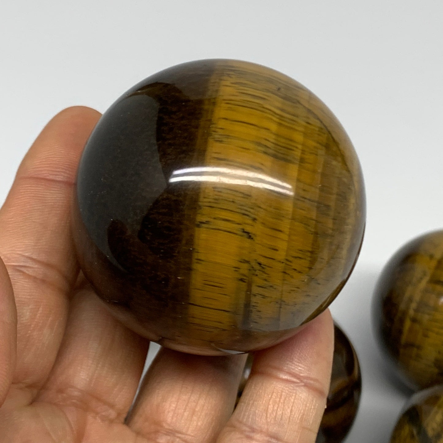 1150g, 1.9" - 2.1", 6pcs, Tiger's Eye Spheres Gemstones @India, B25057