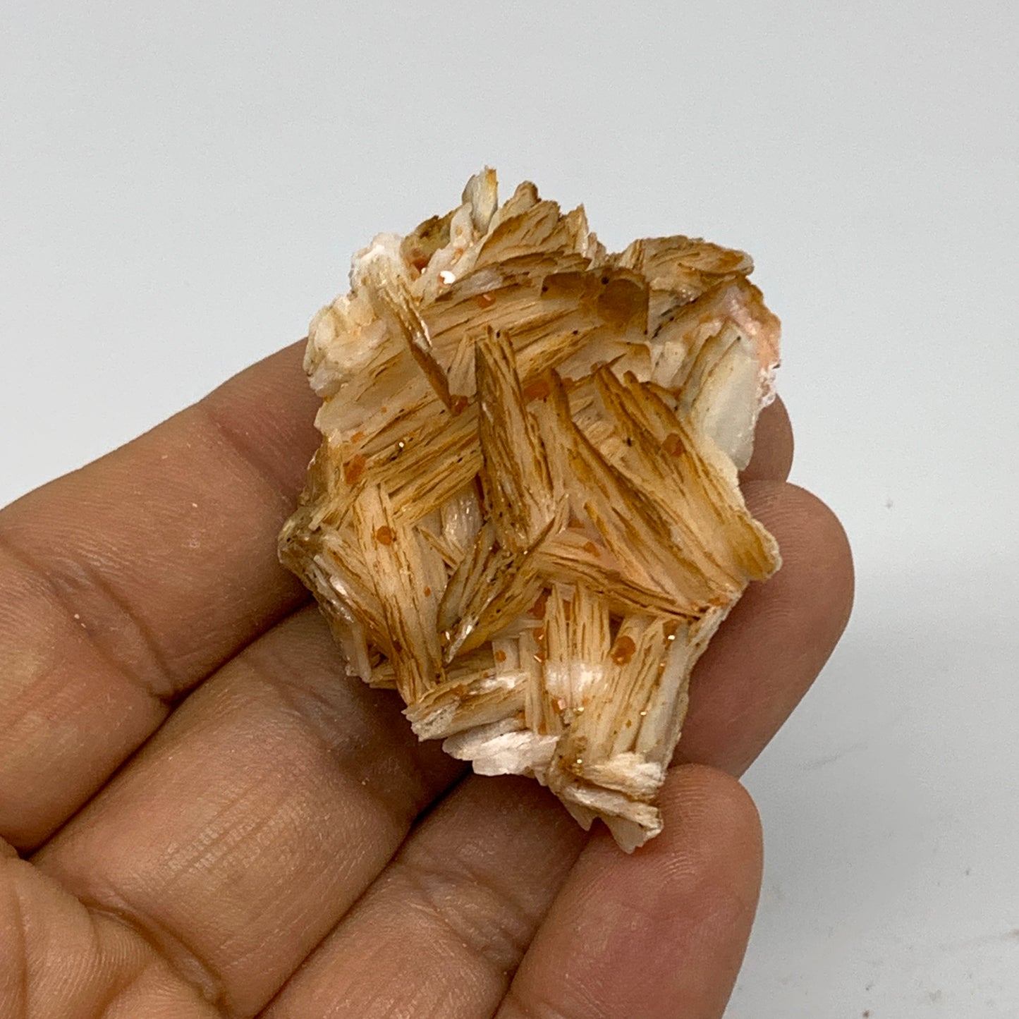 48.5g, 2"x1.5"x0.7", Natural Golden Barite Mineral Specimen @Morocco, B33589