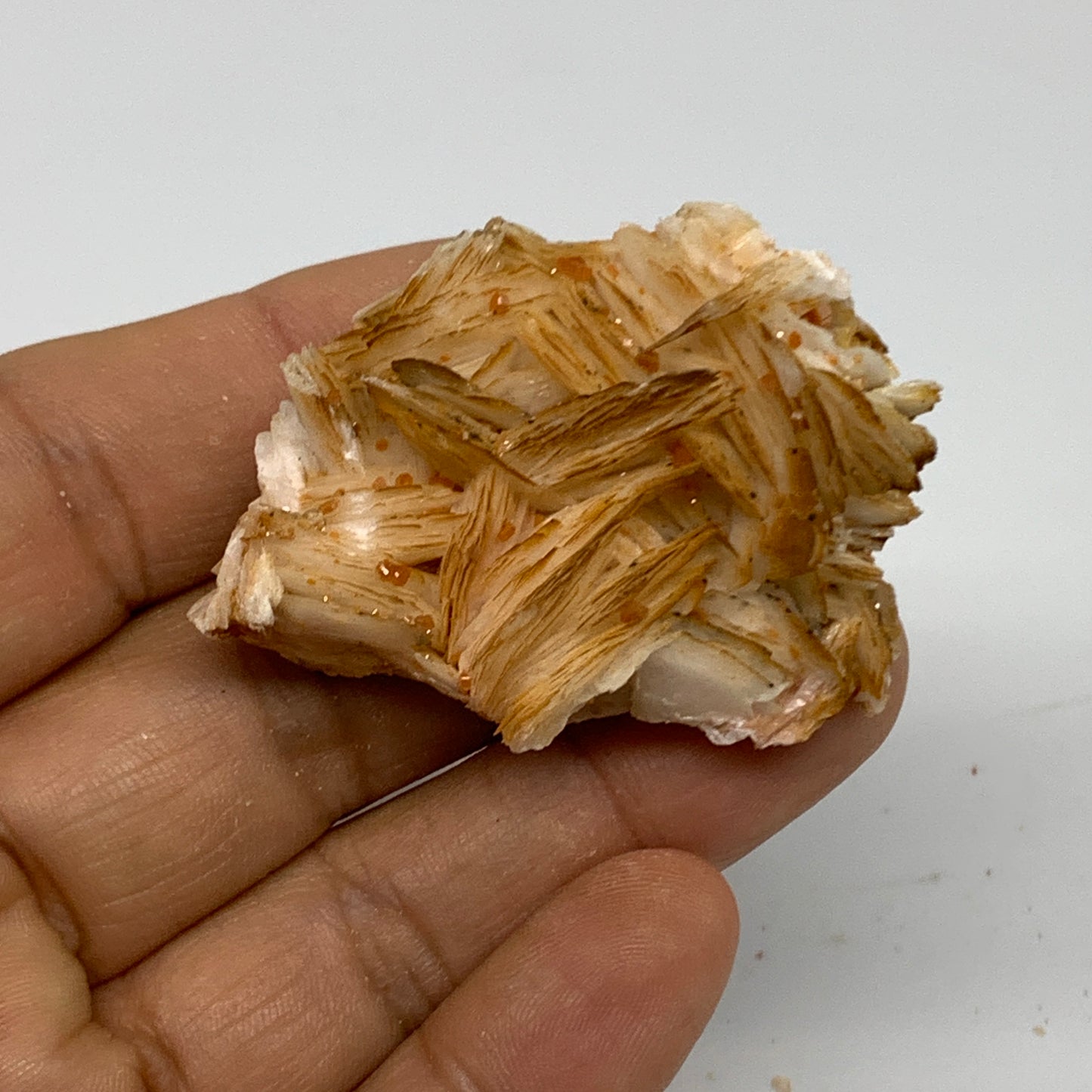 48.5g, 2"x1.5"x0.7", Natural Golden Barite Mineral Specimen @Morocco, B33589