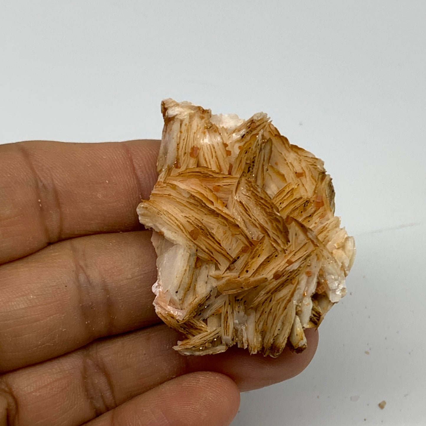 48.5g, 2"x1.5"x0.7", Natural Golden Barite Mineral Specimen @Morocco, B33589