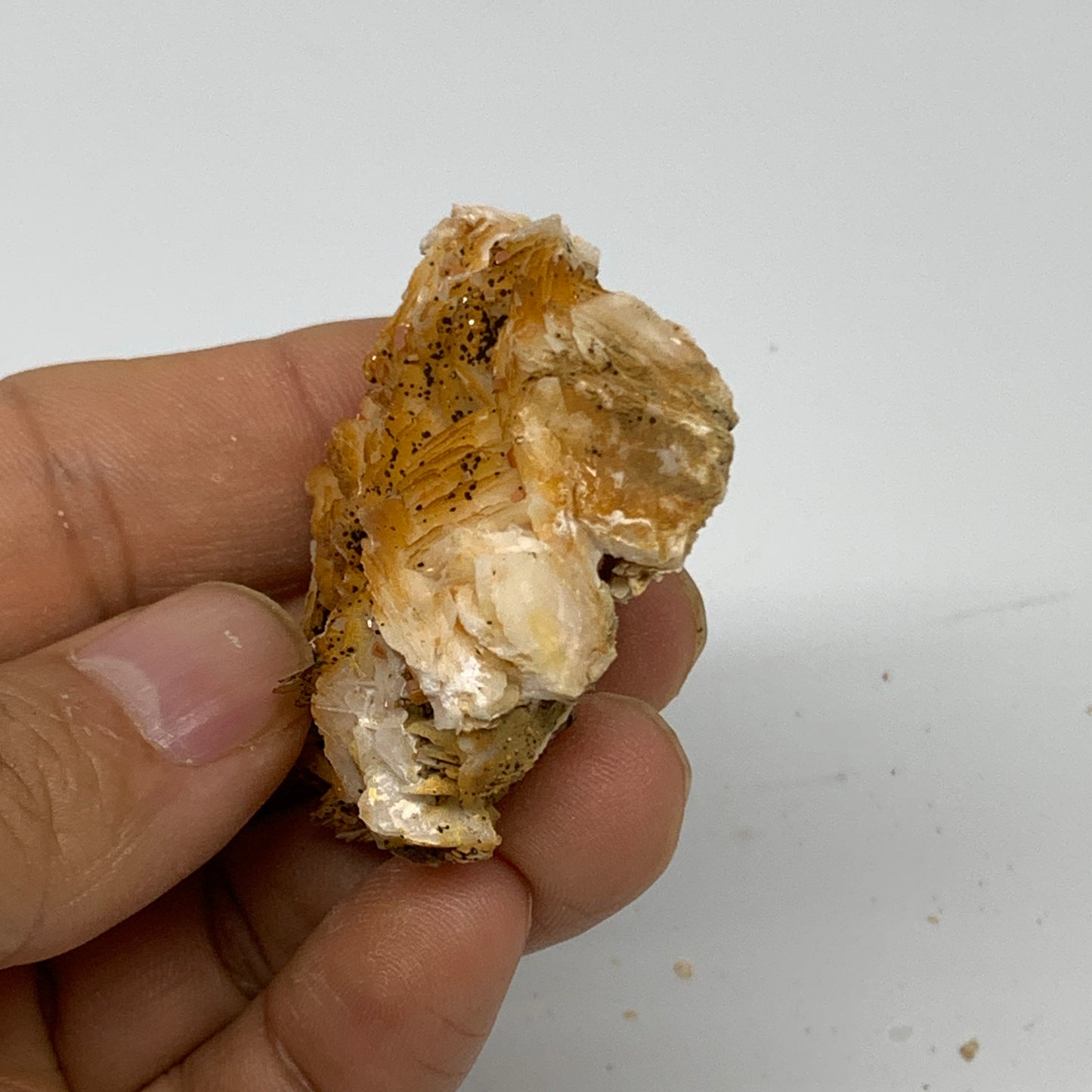 48.5g, 2"x1.5"x0.7", Natural Golden Barite Mineral Specimen @Morocco, B33589