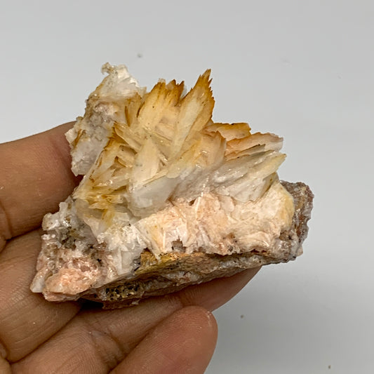 61.9g, 2.3"x1.9"x0.8", Natural Golden Barite Mineral Specimen @Morocco, B33596