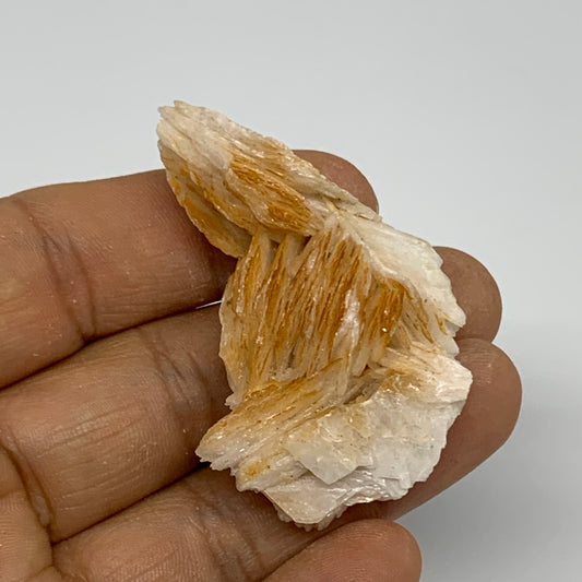 34.7g, 2.1"x1.2x0.7", Natural Golden Barite Mineral Specimen @Morocco, B33599