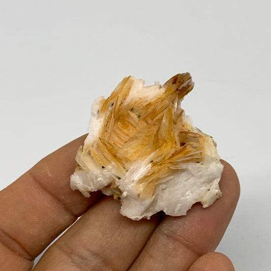 24.6g, 1.5"x1.6x0.5", Natural Golden Barite Mineral Specimen @Morocco, B33601