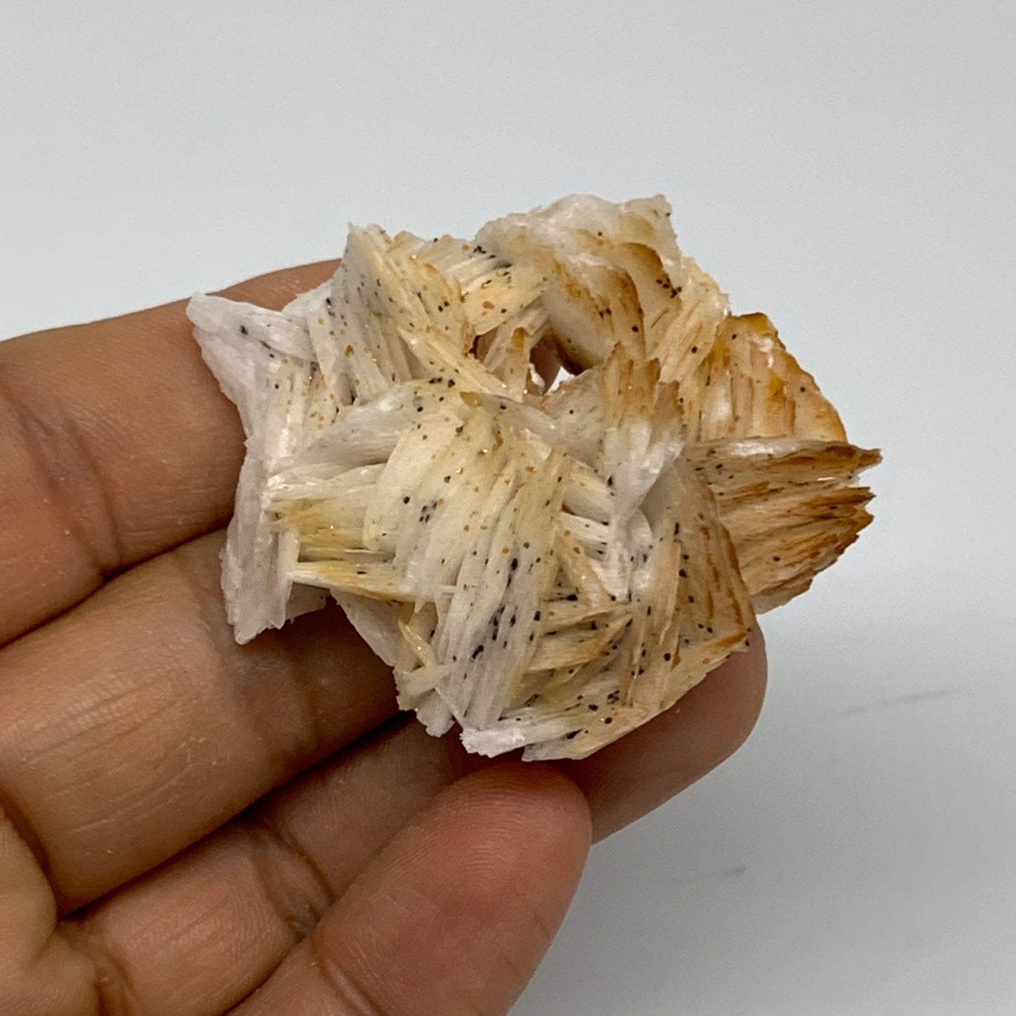 45.1g, 1.9"x1.7x0.6", Natural Golden Barite Mineral Specimen @Morocco, B33603