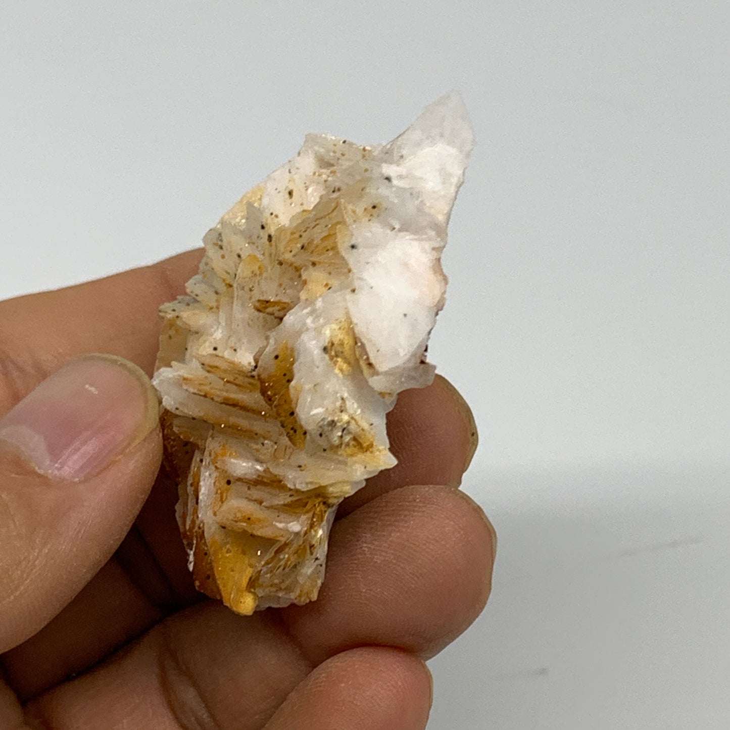 45.1g, 1.9"x1.7x0.6", Natural Golden Barite Mineral Specimen @Morocco, B33603