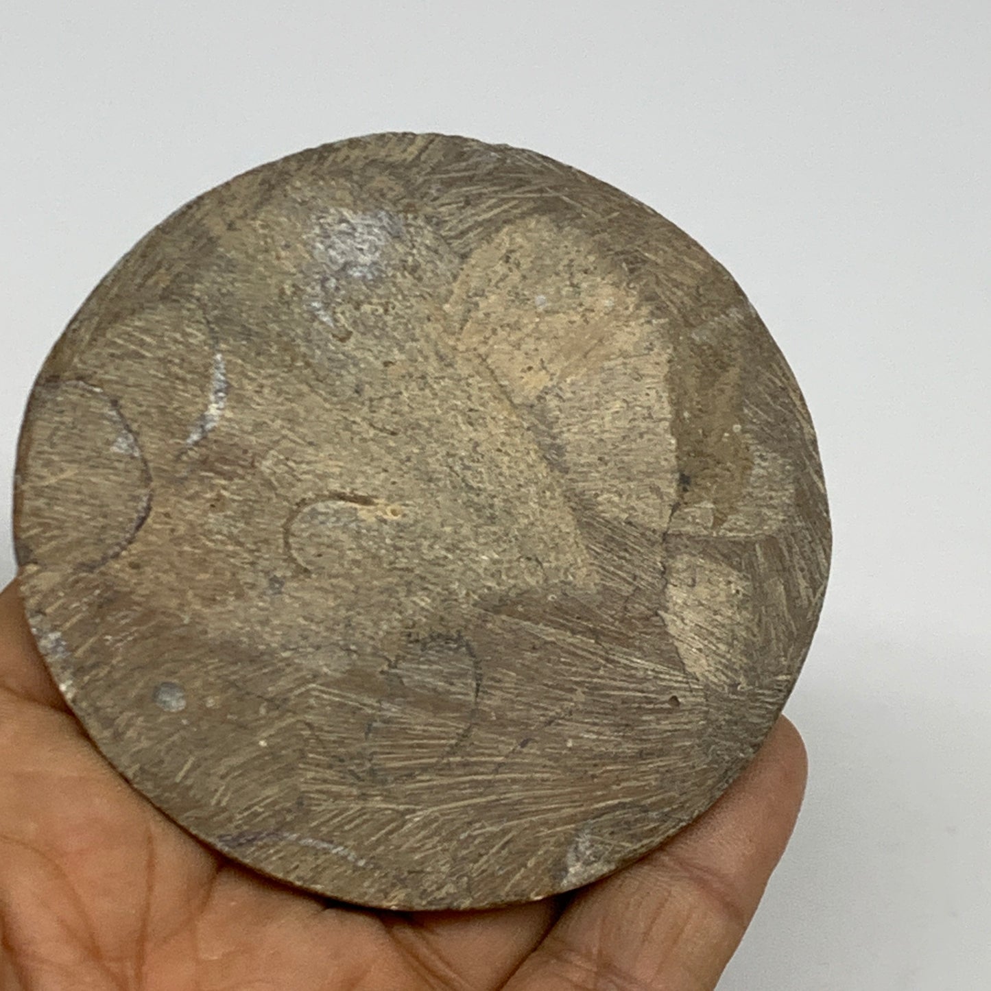 85g, 2.8"x2.8"x0.5", Goniatite (Button) Ammonite Polished Fossils, B30115