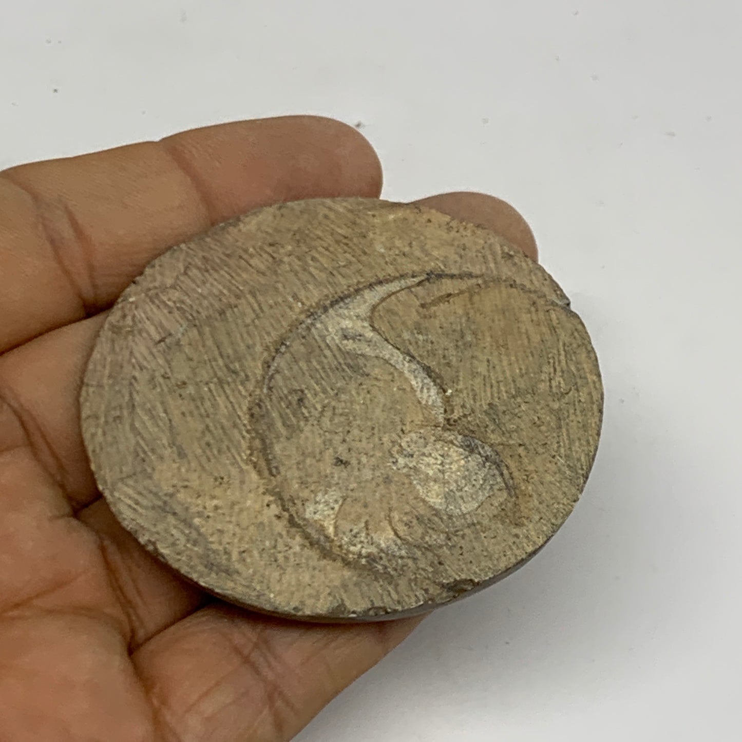 36g, 2.1"x2.2"x0.3", Goniatite (Button) Ammonite Polished Fossils , B30123