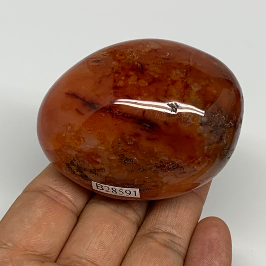 173.8g,2.5"x1.9"x1.6", Red Carnelian Palm-Stone Gem Crystal Polished, B28591