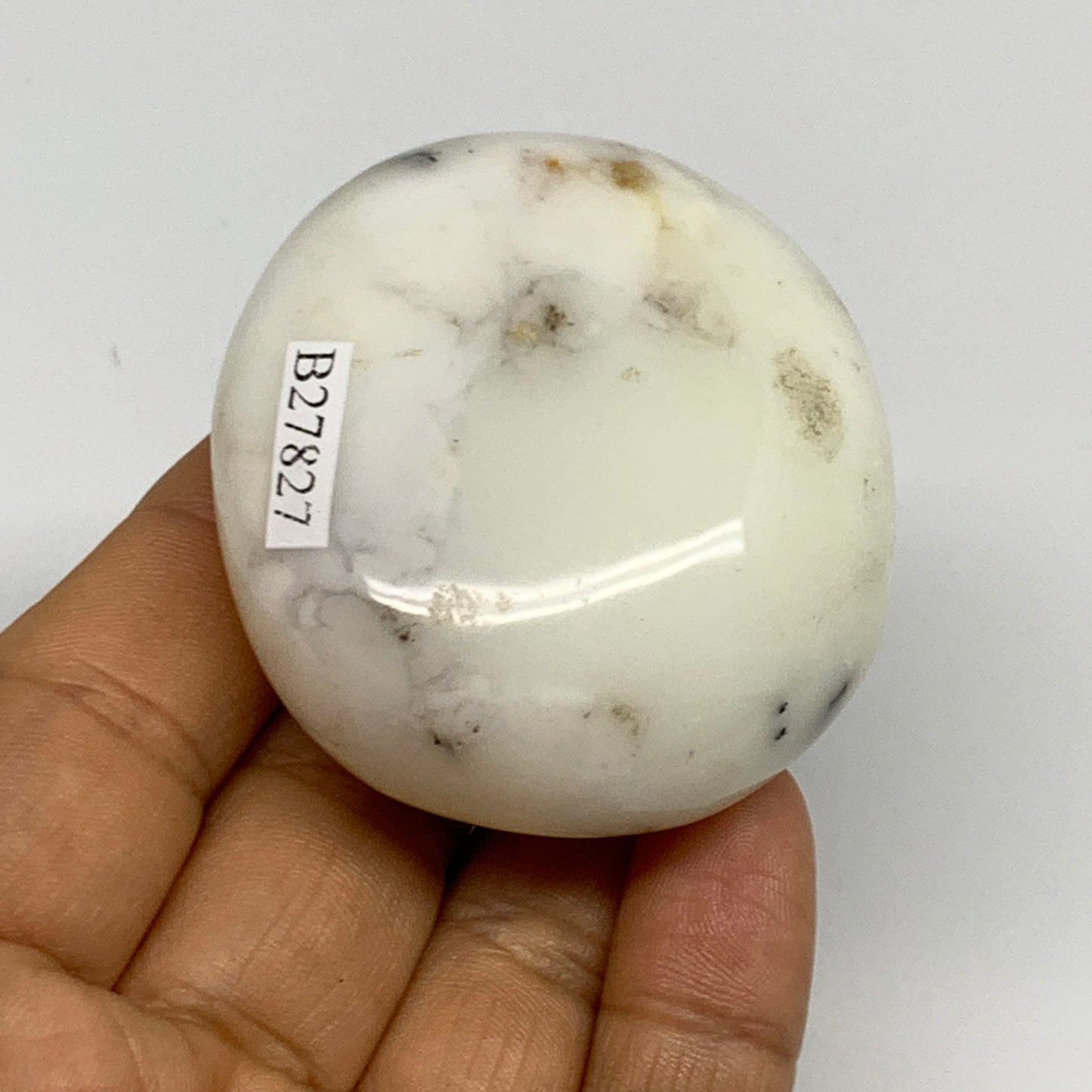 84.4g, 2.1"x1.9"x1", Dendrite Opal Palm-Stone Reiki Energy Crystal, B27827