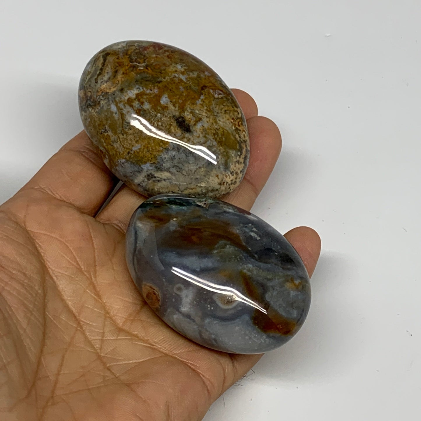 2.2 lbs (1015 Grams), 2"-2.3", 11pcs, Wholesale Ocean Jasper Palm-Stone, B30836