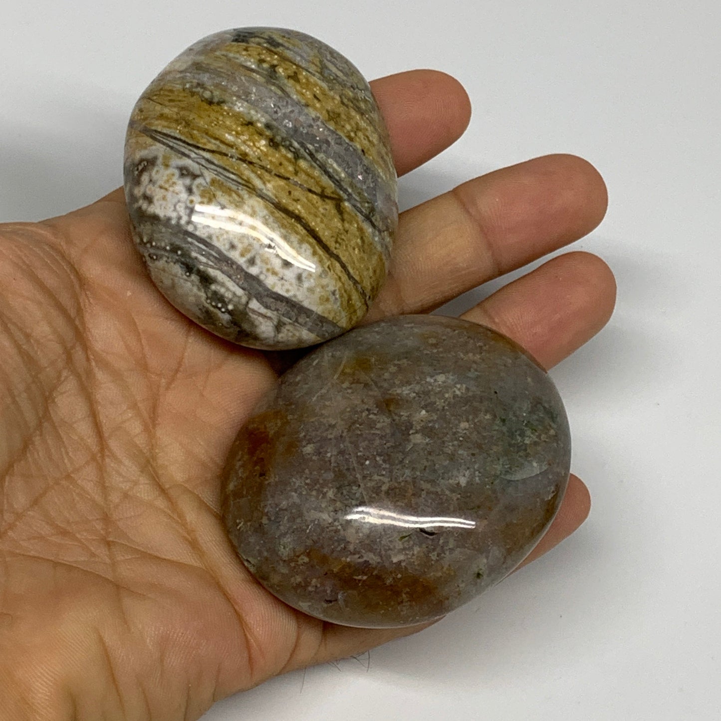 2.2 lbs (1015 Grams), 2"-2.3", 11pcs, Wholesale Ocean Jasper Palm-Stone, B30836