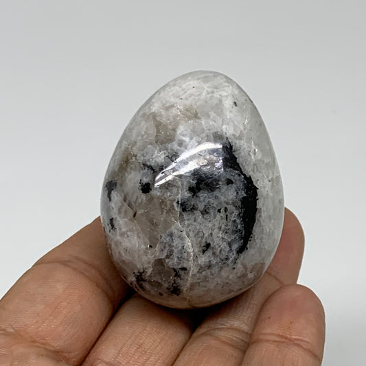 95.3g, 1.9"x1.5", Natural Gemstone White Rainbow Moonstone Egg, B34301