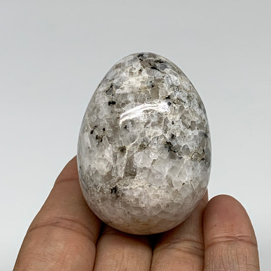 103.9g, 2"x1.5", Natural Gemstone White Rainbow Moonstone Egg, B34304