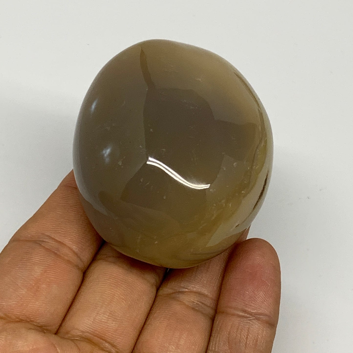 141.2g, 2.3"x1.9"x1.4" Orca Agate Palm-Stone Reiki Energy Crystal Reiki, B28698
