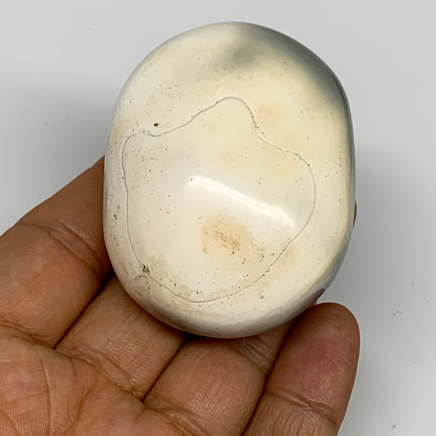 117.5g, 2.3"x1.8"x1.3" Orca Agate Palm-Stone Reiki Energy Crystal Reiki, B28690