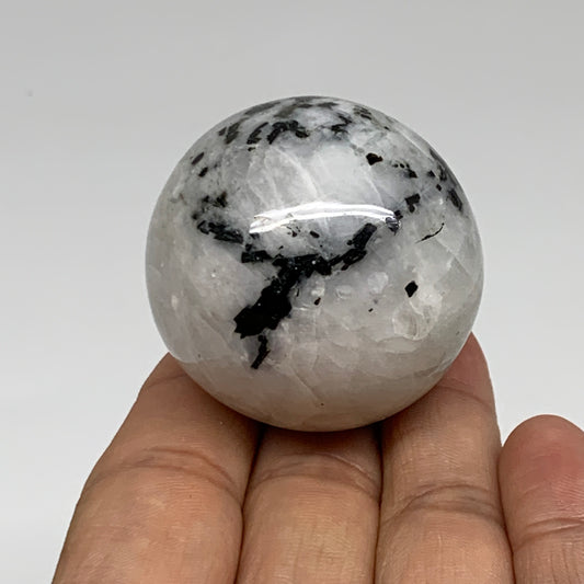 100g, 1.7"(42mm), Natural Rainbow Moonstone Sphere Ball Gemstone, B35128