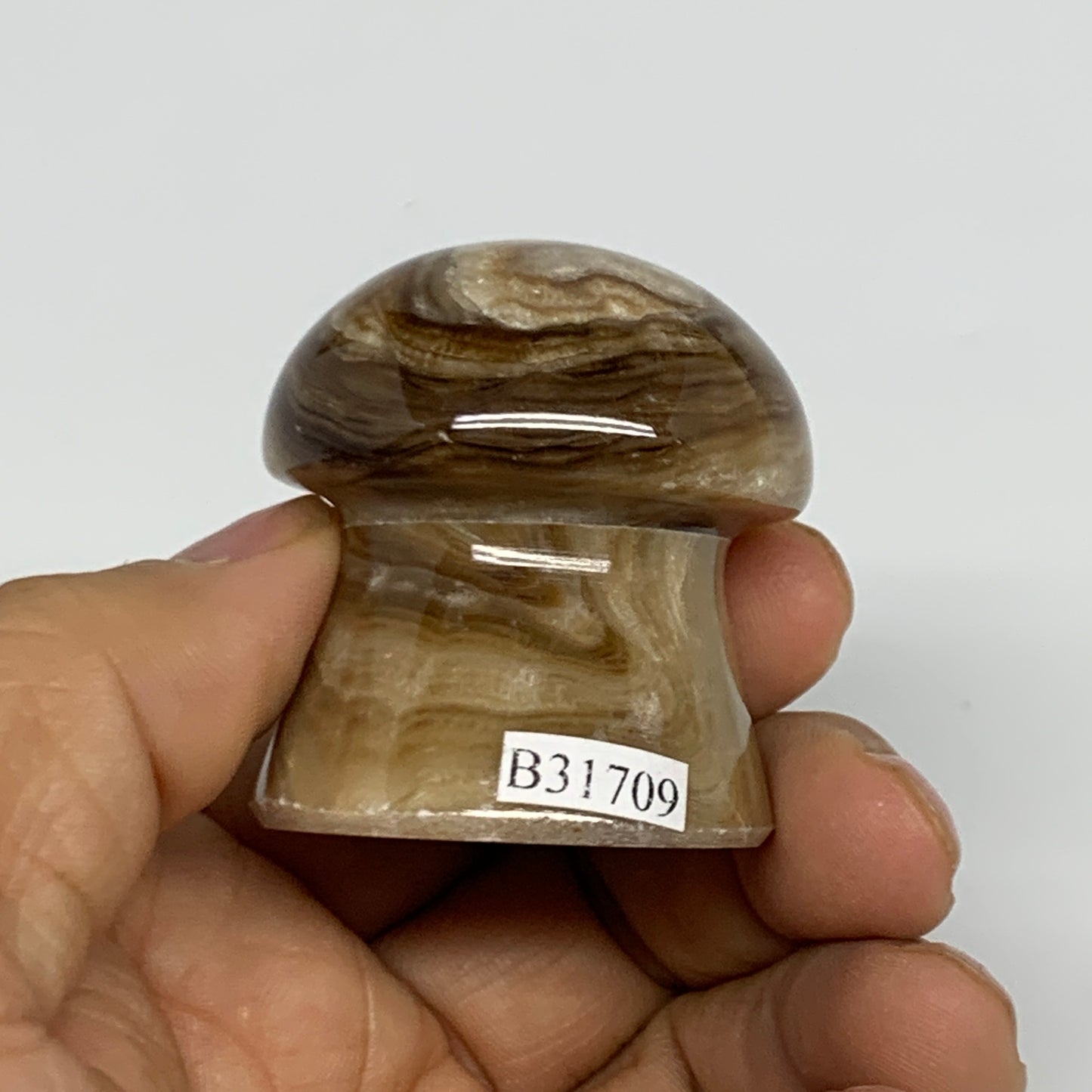 91g, 1.6"x1.4", Chocolate Calcite Mushroom 2 Pieces bonded @Pakistan, B31709