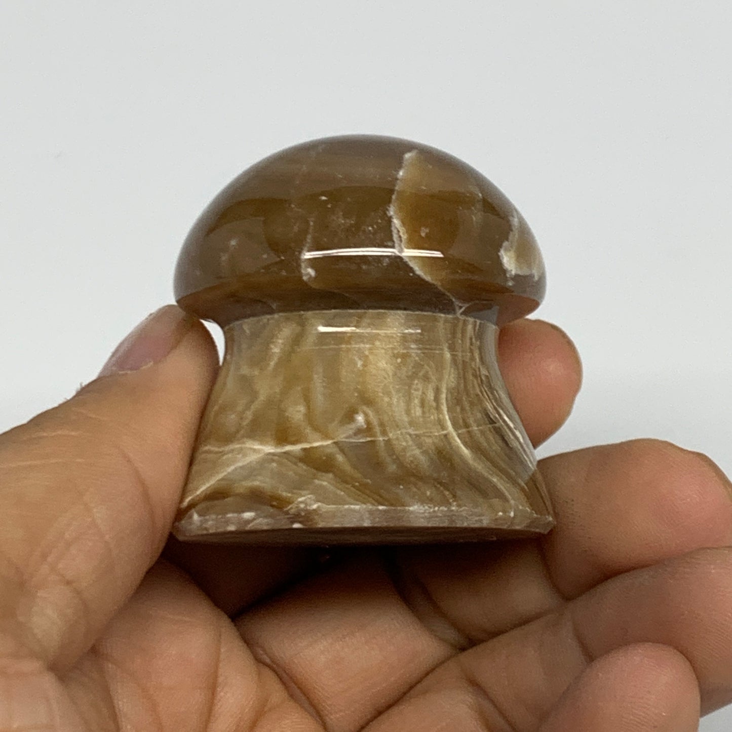 87.5g, 1.6"x1.6", Chocolate Calcite Mushroom 2 Pieces bonded @Pakistan, B31708