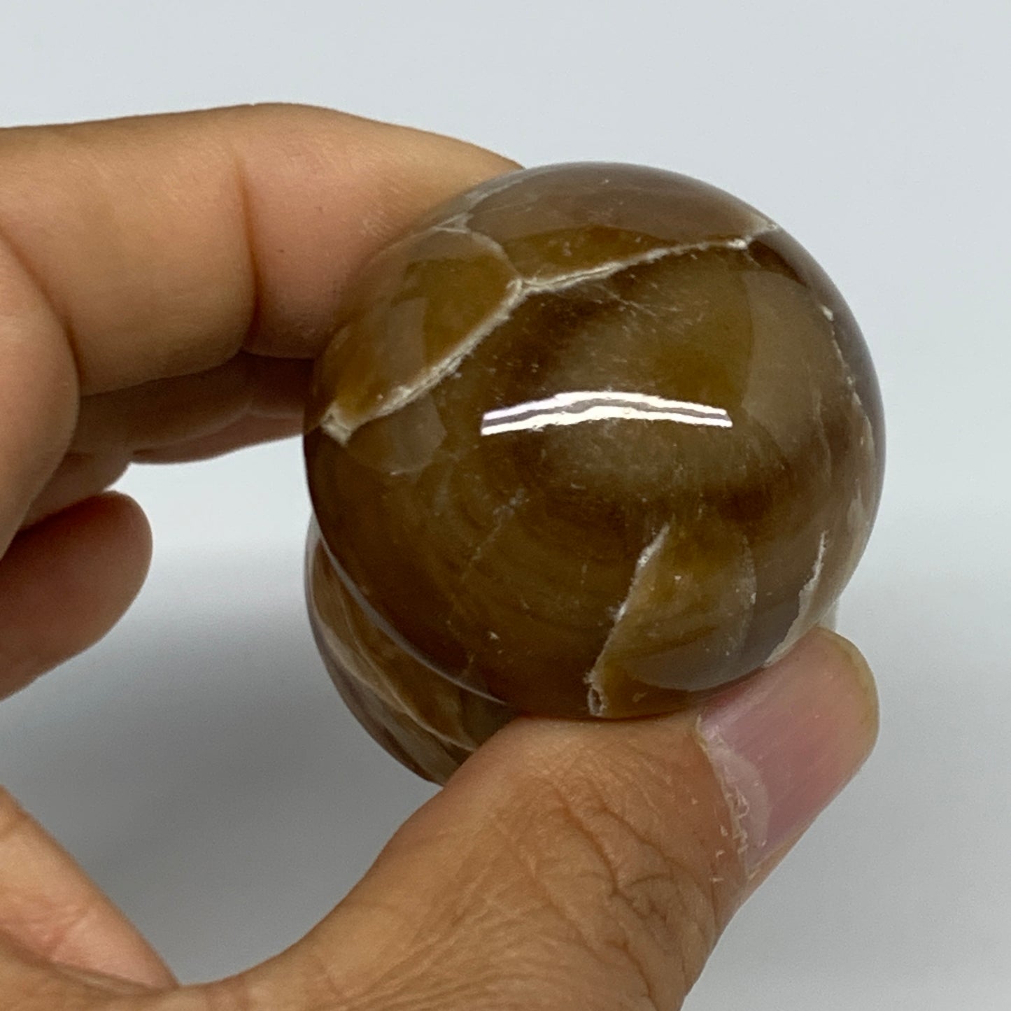 87.5g, 1.6"x1.6", Chocolate Calcite Mushroom 2 Pieces bonded @Pakistan, B31708