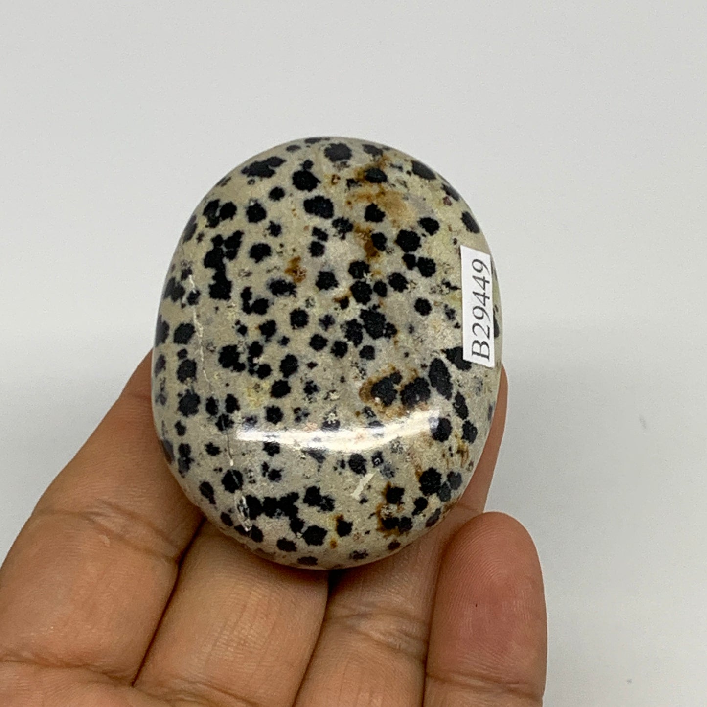 83.7g, 2.2"x1.7"x0.8", Natural Dalmatian Jasper Palm-Stone @India, B29449