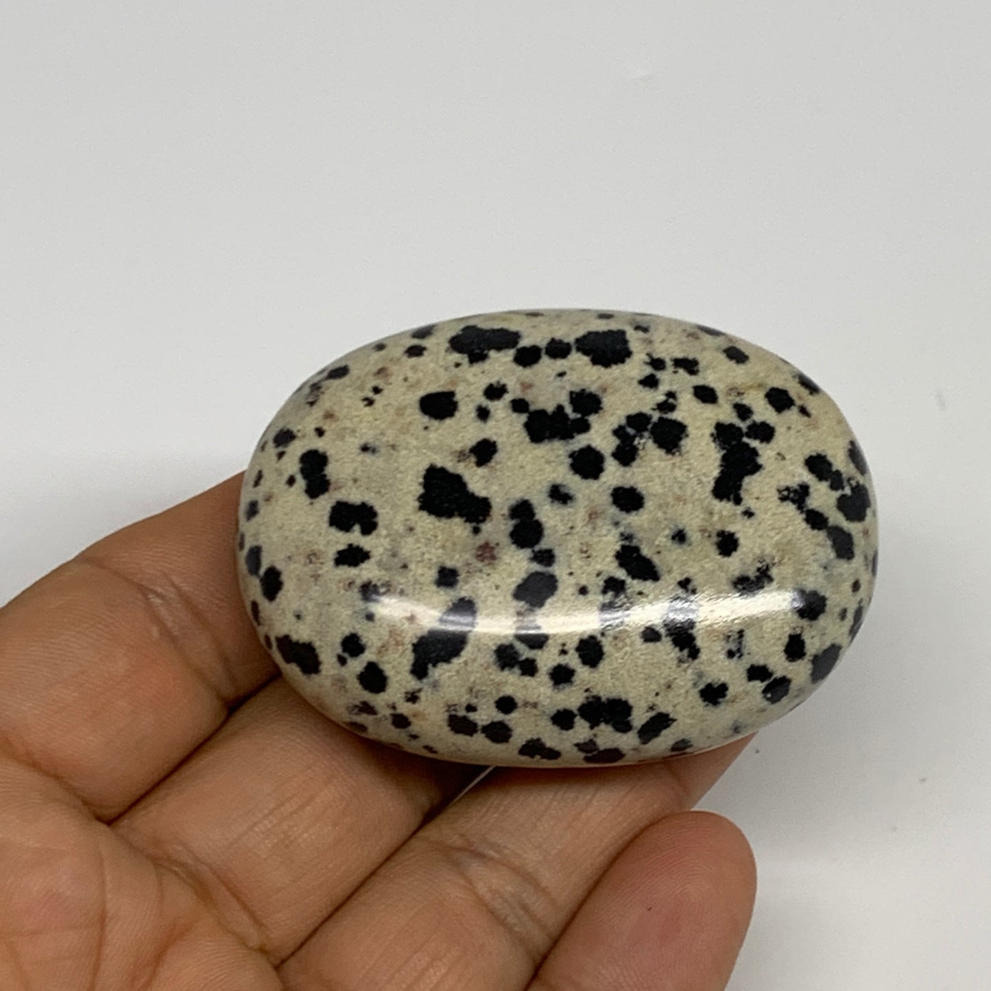 73.3g, 2.2"x1.7"x0.8", Natural Dalmatian Jasper Palm-Stone @India, B29454