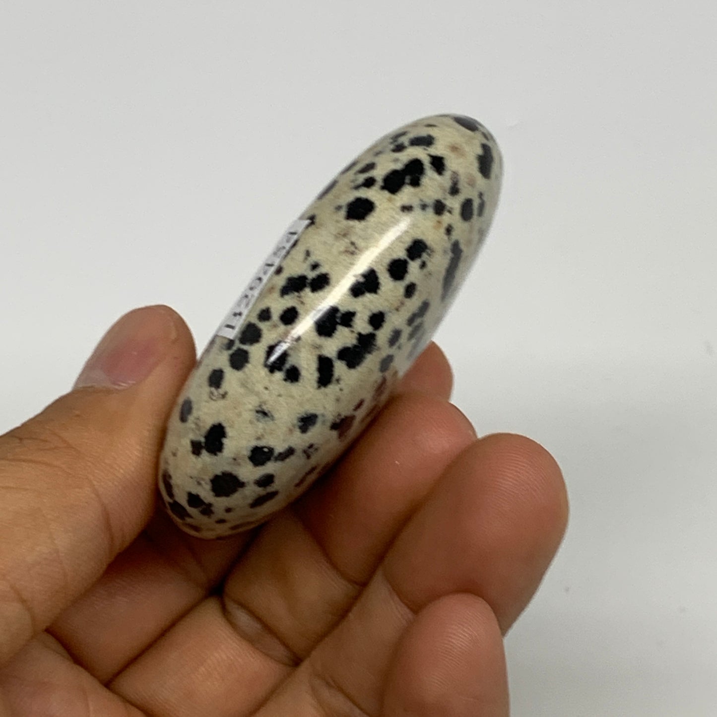 73.3g, 2.2"x1.7"x0.8", Natural Dalmatian Jasper Palm-Stone @India, B29454