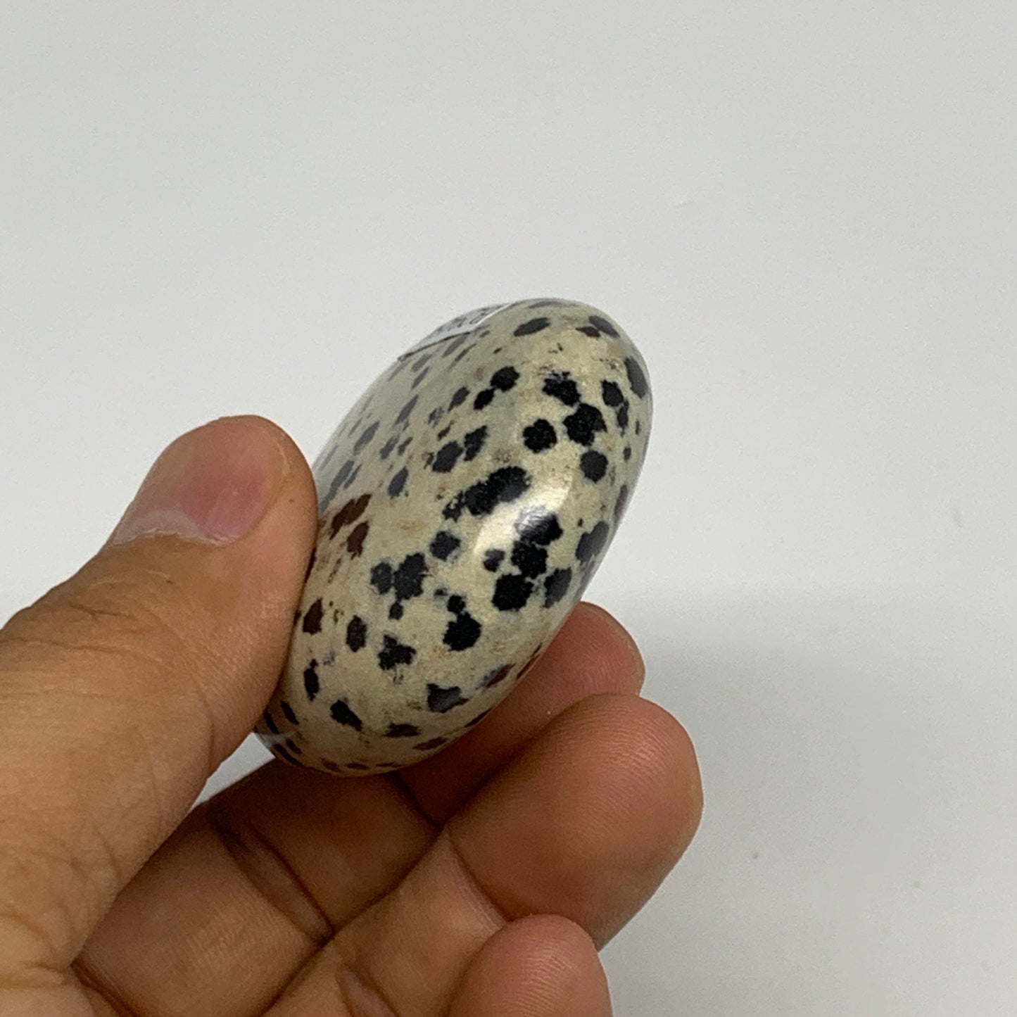 73.3g, 2.2"x1.7"x0.8", Natural Dalmatian Jasper Palm-Stone @India, B29454