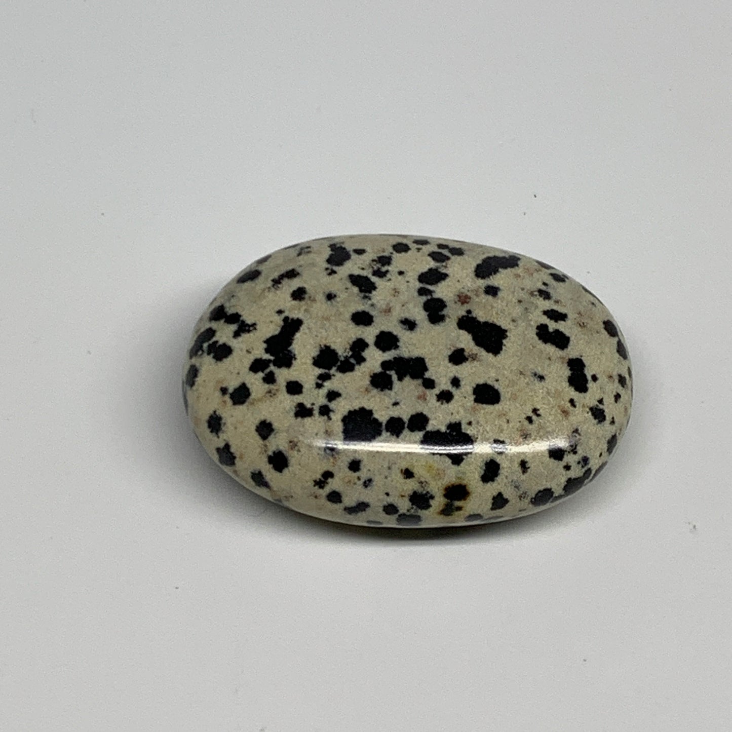 73.3g, 2.2"x1.7"x0.8", Natural Dalmatian Jasper Palm-Stone @India, B29454