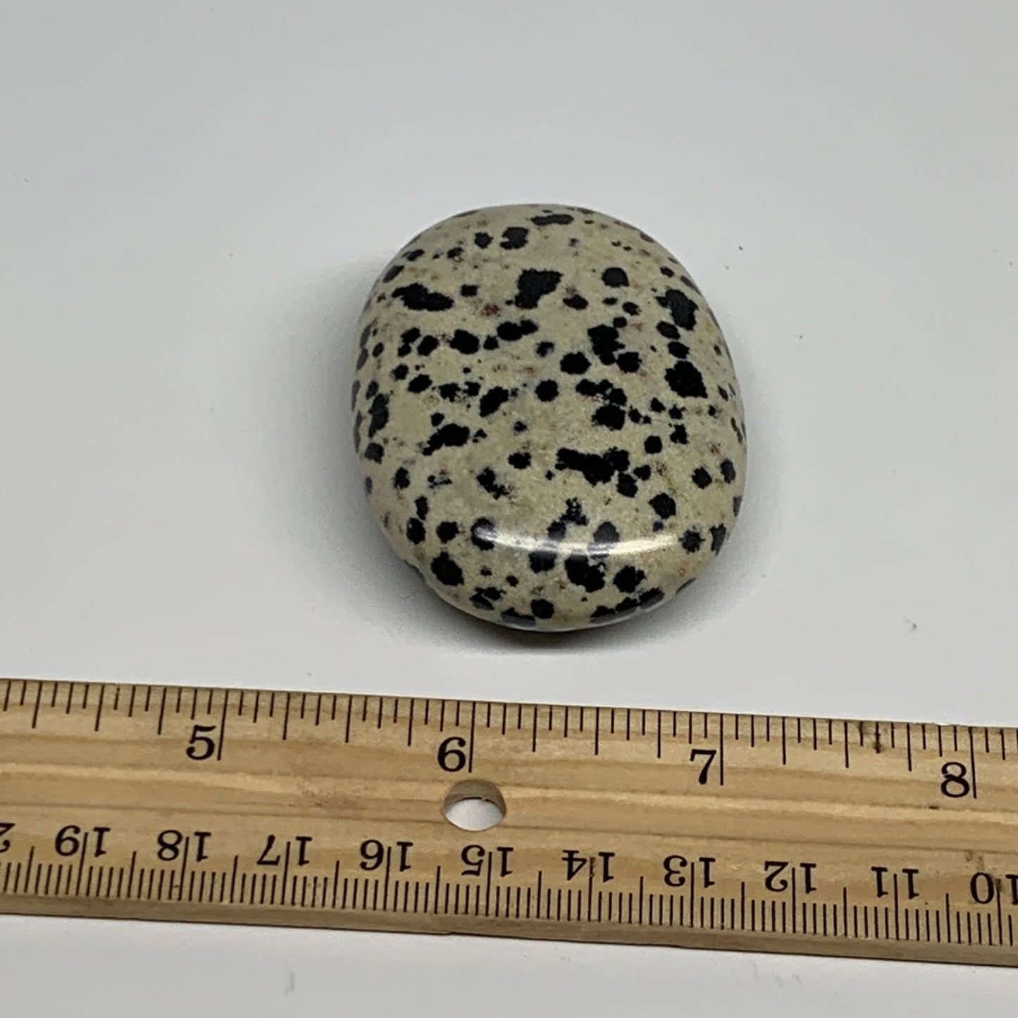 73.3g, 2.2"x1.7"x0.8", Natural Dalmatian Jasper Palm-Stone @India, B29454