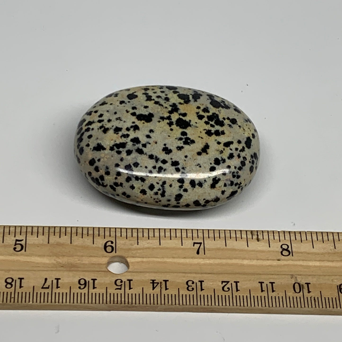 80.5g, 2.2"x1.7"x0.8", Natural Dalmatian Jasper Palm-Stone @India, B29455