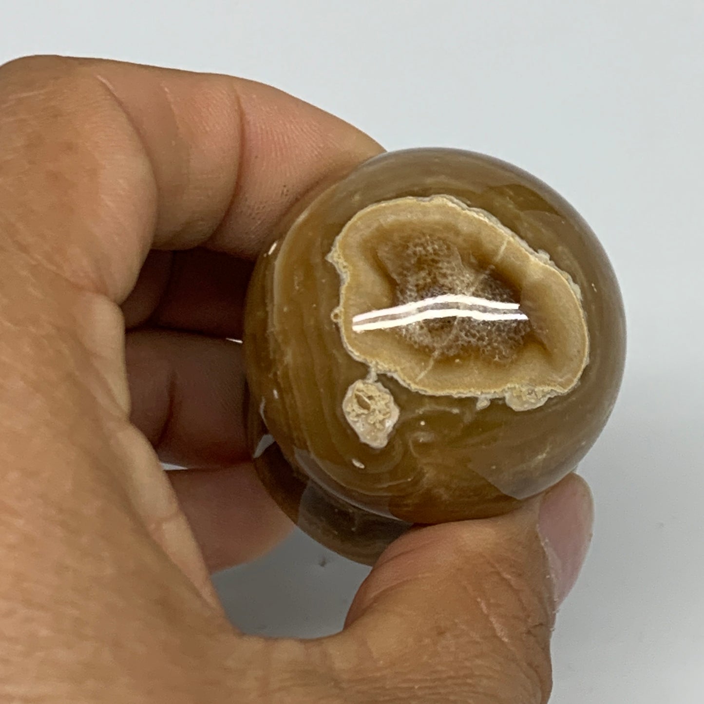90.4g, 1.6x1.4", Chocolate Calcite Mushroom 2 Pieces bonded @Pakistan, B31697
