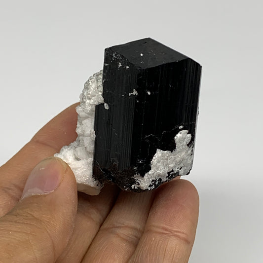 94.5g, 2"x1.4"x1.6", Black Tourmaline Phosphorus Mineral Specimen, B33727