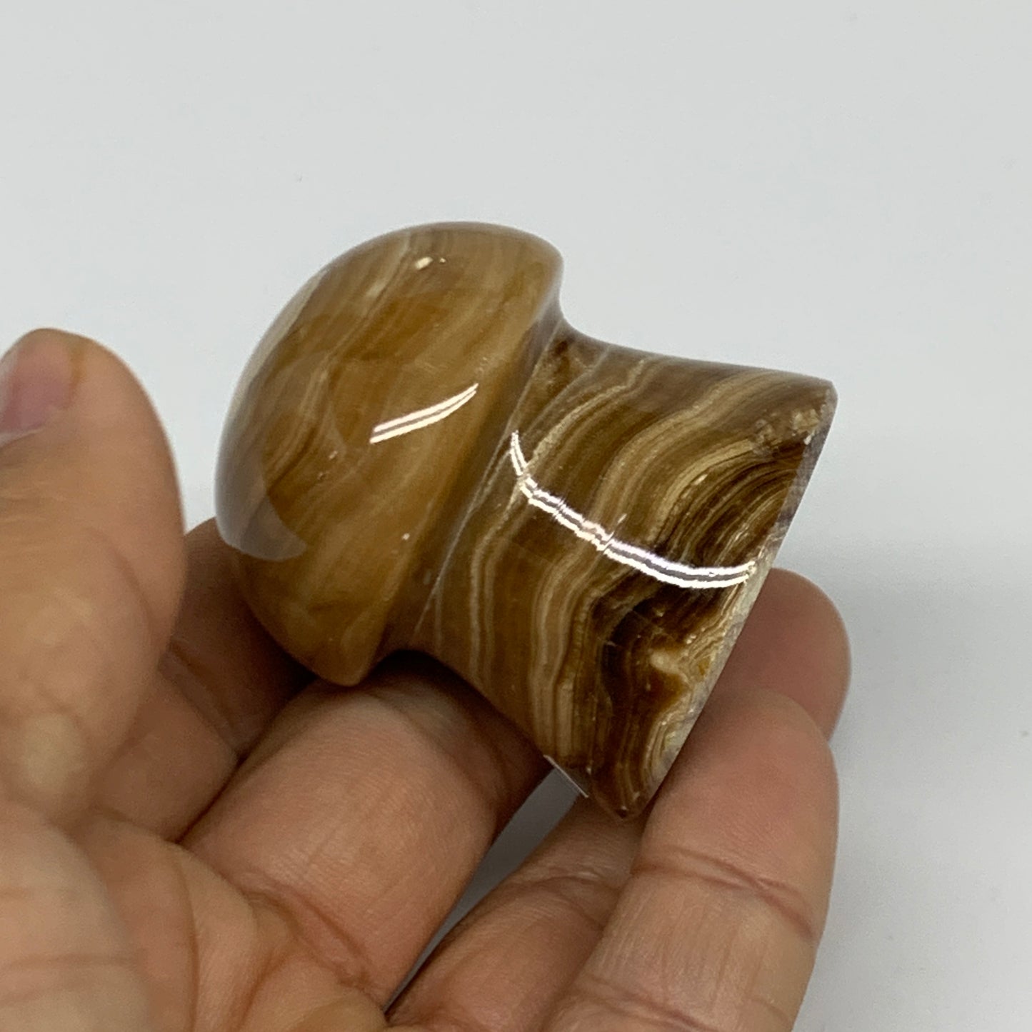 90.4g, 1.6x1.4", Chocolate Calcite Mushroom 2 Pieces bonded @Pakistan, B31697