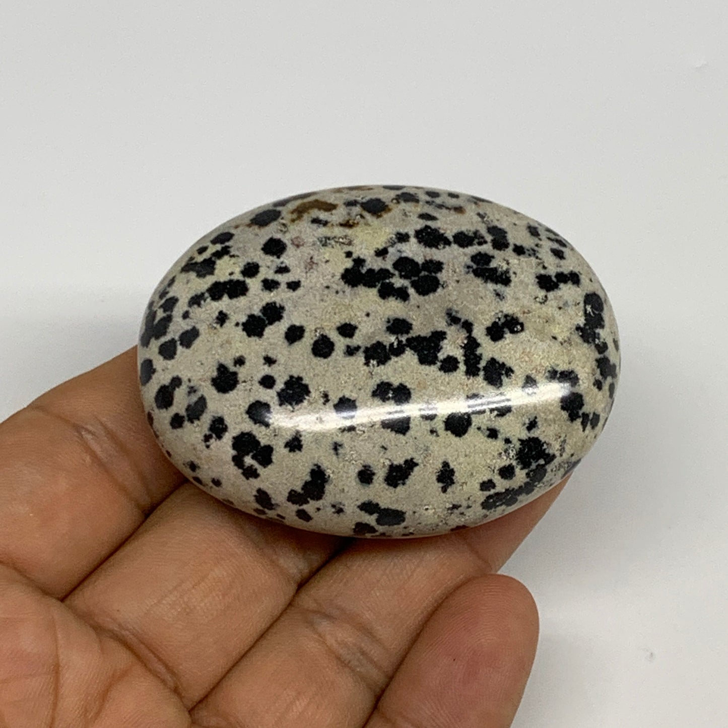 78.8g, 2.2"x1.7"x0.8", Natural Dalmatian Jasper Palm-Stone @India, B29462