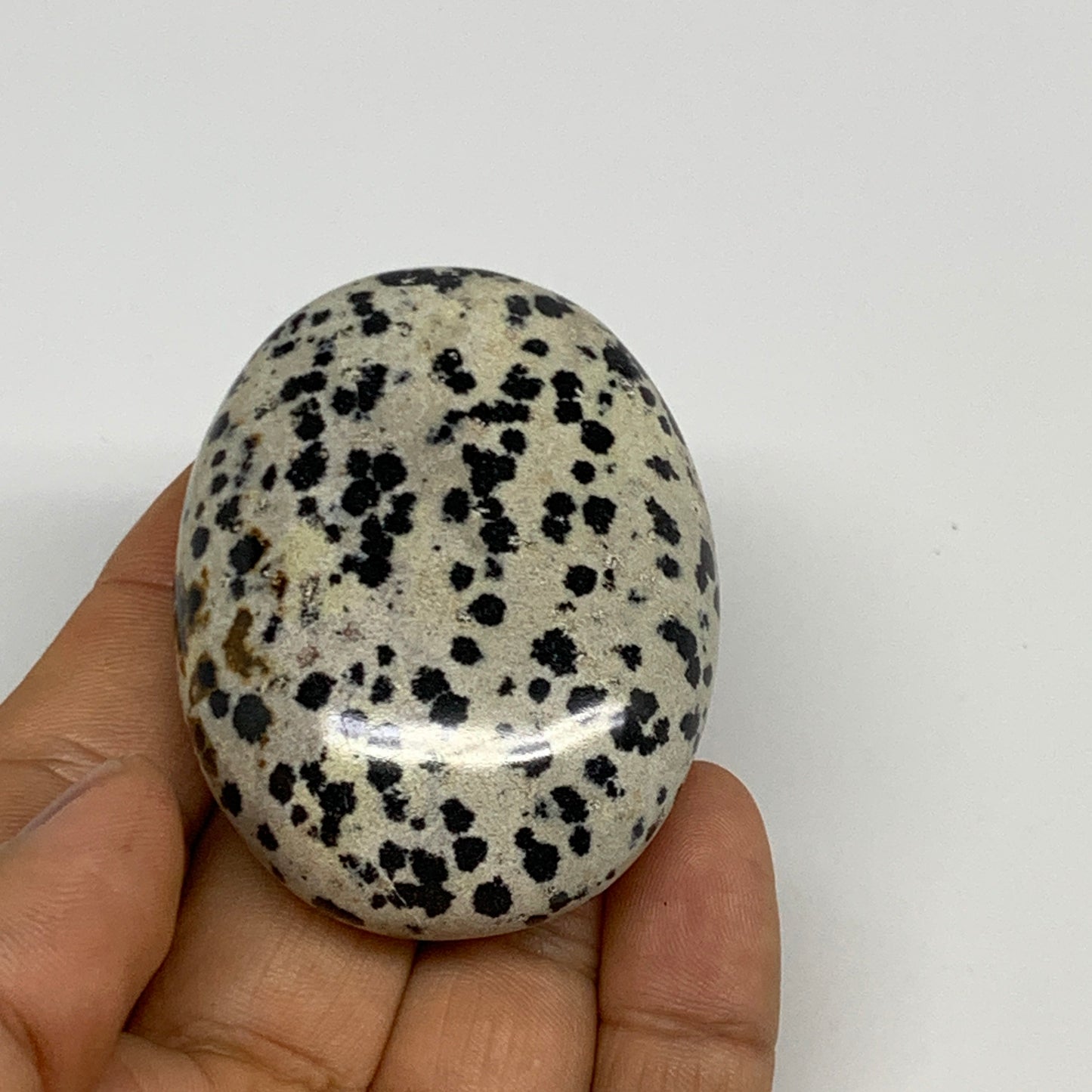 78.8g, 2.2"x1.7"x0.8", Natural Dalmatian Jasper Palm-Stone @India, B29462