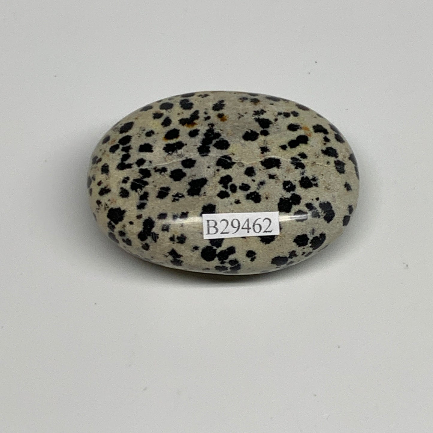 78.8g, 2.2"x1.7"x0.8", Natural Dalmatian Jasper Palm-Stone @India, B29462