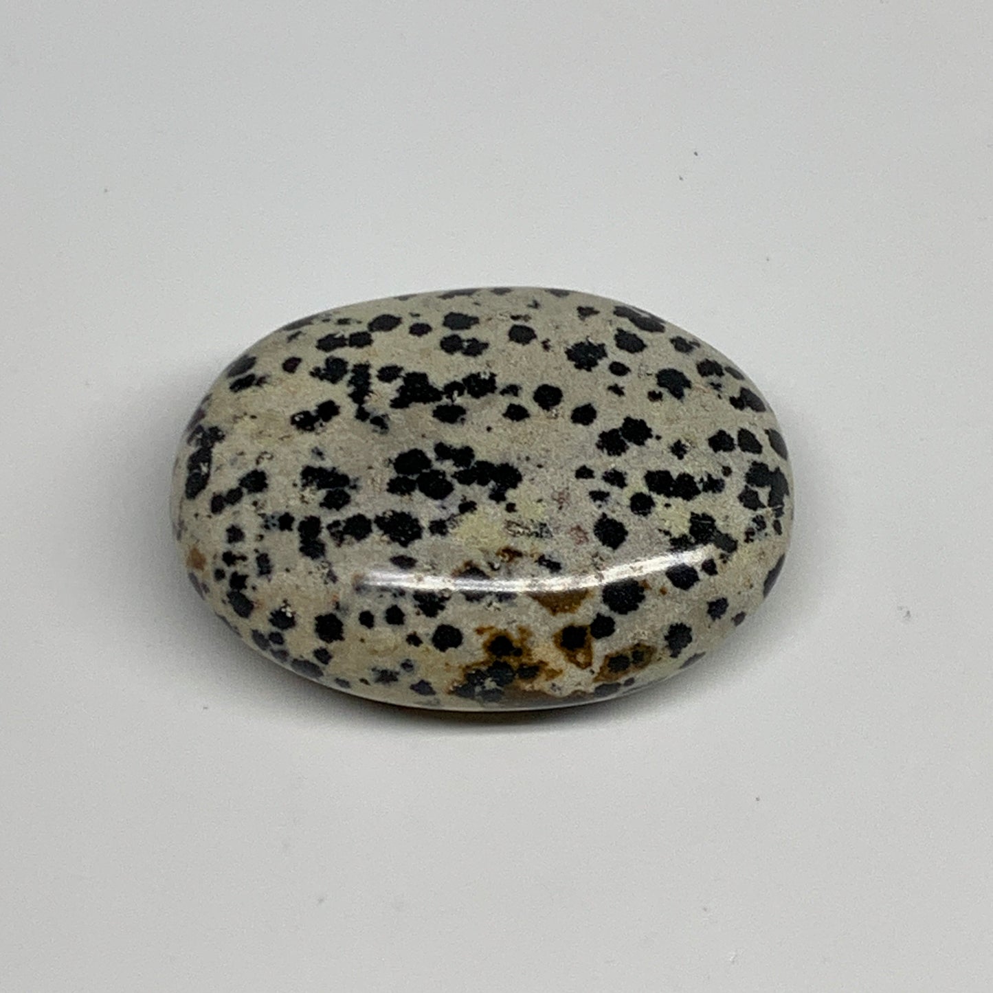 78.8g, 2.2"x1.7"x0.8", Natural Dalmatian Jasper Palm-Stone @India, B29462